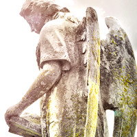 ANGELS in Stone