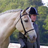 HORSE SHOWS