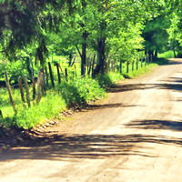 Country LANE