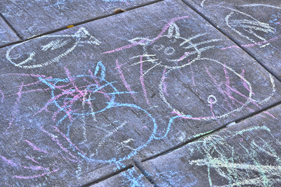 2014 FAA3370 Chalk Cats