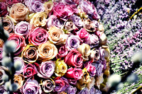 Flowers & Roses 2014