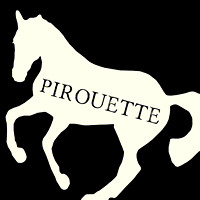 PIROUETTE ~ Fourth Level Movement
