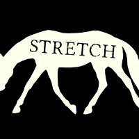 STRETCH ~ Training Level Movement