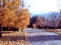 Autumn 1983
