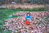 Autumn 1994