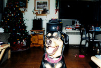 Melissa 1999 December