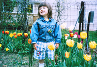 Spring 1995