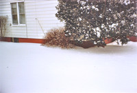 Winter 1993
