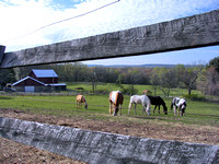 Barn Time 2009