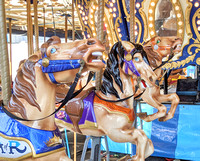 2021 FAA3817 HORSEABOUT