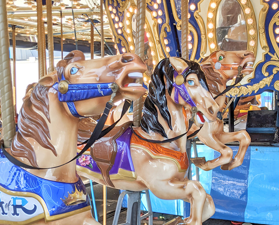 2021 FAA3817 HORSEABOUT