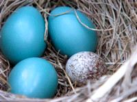 Easter 2009