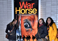 War Horse NYC 2012
