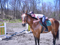 Horses 2007