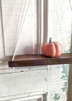 2021 FAA3968 AUTUMN READY *