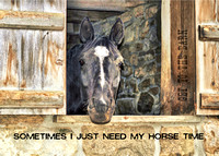 2010 JAM912 DUTCH DOOR
