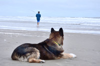 2021 FAA4109 FISHING PARTNER