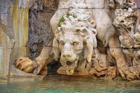 2016 JAM957 LION IN THE FOUNTAIN