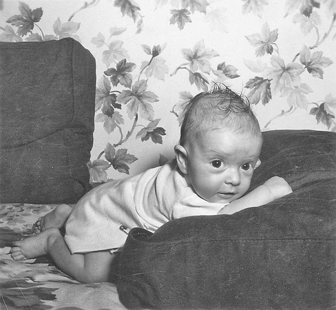 1950 JAM208 LITTLE TROUBLE