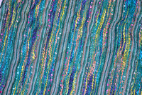 2022 FAA8785 SHIMMERING