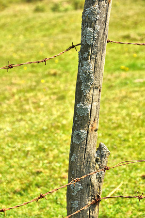 2012 FAA1394 BARBED FENCE POST
