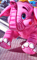 2021 FAA3966 COTTON CANDY JUMBO *