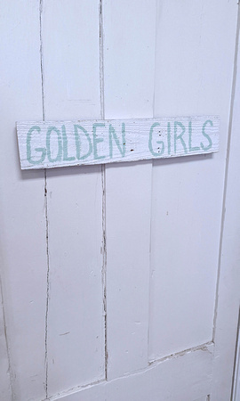 2022 FAA4641 GOLDEN GIRLS