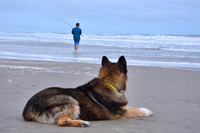 2021 FAA4109 FISHING PARTNER