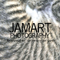 CATS on Film