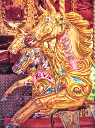 2012 FAA1256 GILDED GALLOPERS