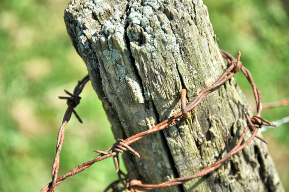 2012 FAA1395 BARBED WIRE