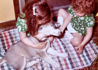 Pets 1972