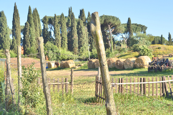 2016 FAA5957 VIA DEI CERCENII