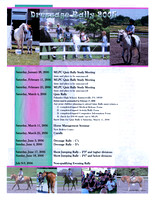 2006