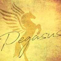 FAA7464 VINTAGE PEGASUS