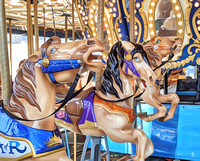 2021 FAA3817 HORSEABOUT *
