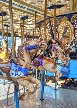 2021 FAA3817 HORSEABOUT
