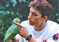 Birds 1990