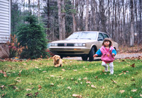 Pets 1994