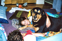 Pets 2002