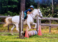 Horses 2003