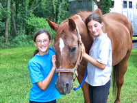Horses 2005
