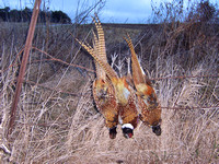 Iowa Hunting Trip 2005
