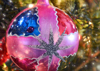 2022 FAA6839 HOLIDAY STAR *