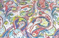 2022 FAA8780 PAISLEY SPARKLE