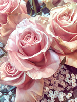 2020 FAA2905 PINK JOY *