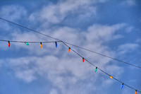 2021 FAA3479 SKY STRUNG *