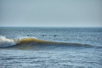 OBX 8/5/2020