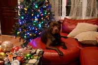 XMAS 12/4/2015