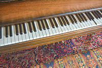 2019 FAA729 88 KEYS